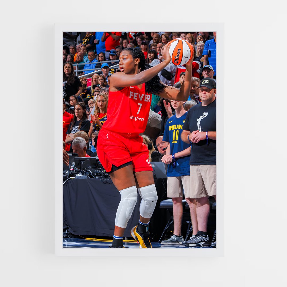 Poster Basketball Fever (vue 3)